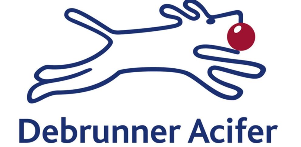 logo_debrunner Logo de l'entreprise Debrunner Acifer SA
